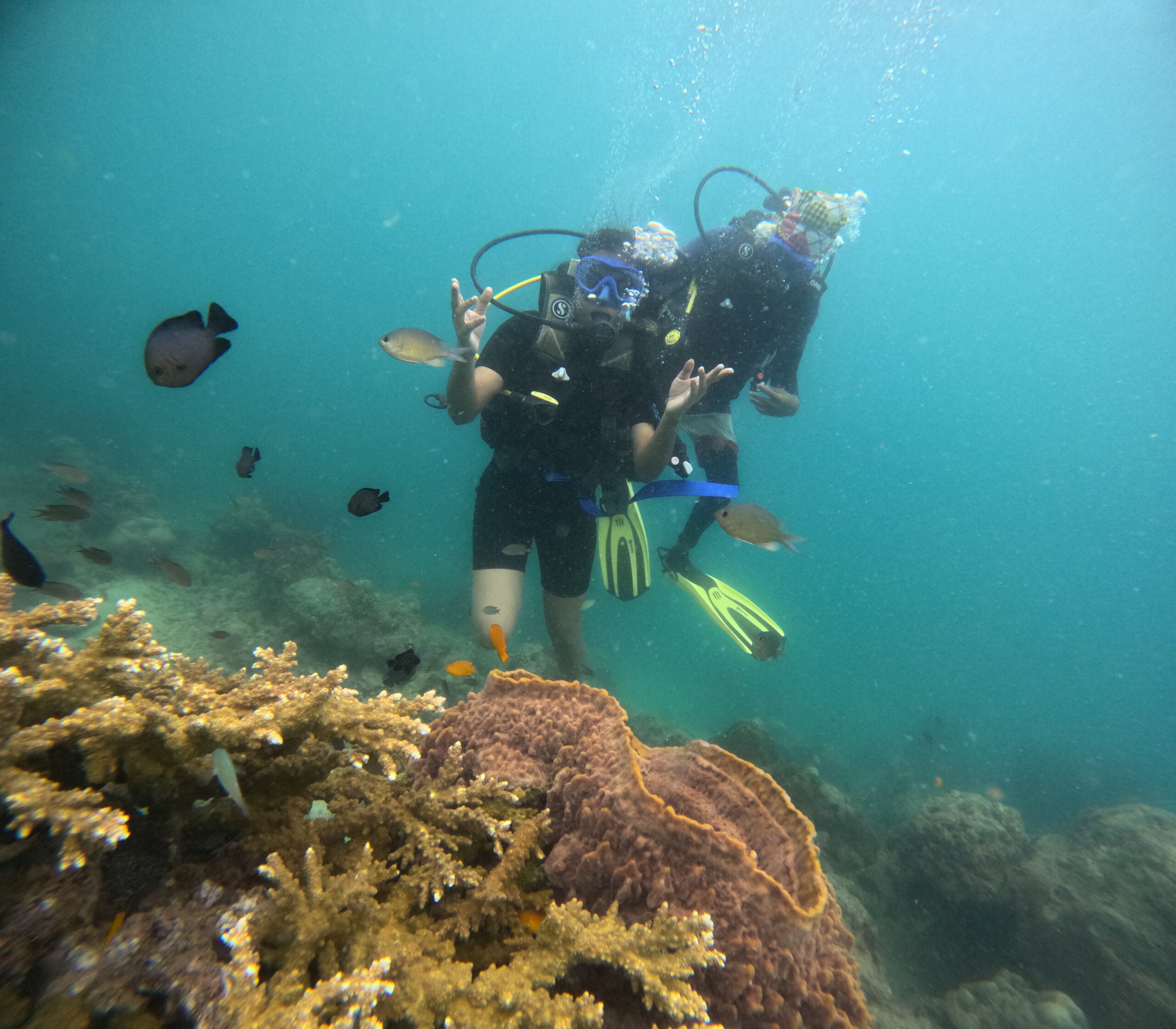 Scuba Diving in Andaman