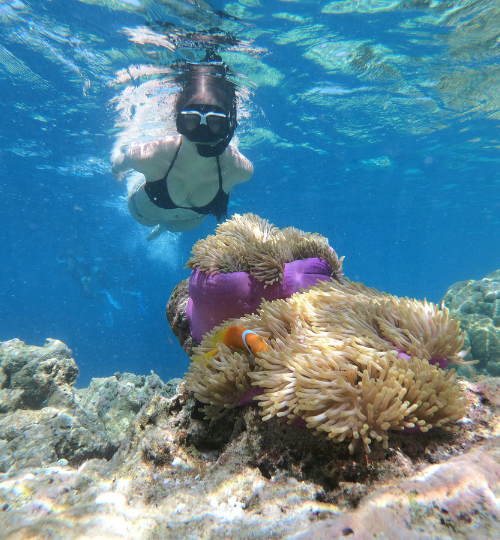 Snorkeling in Andaman