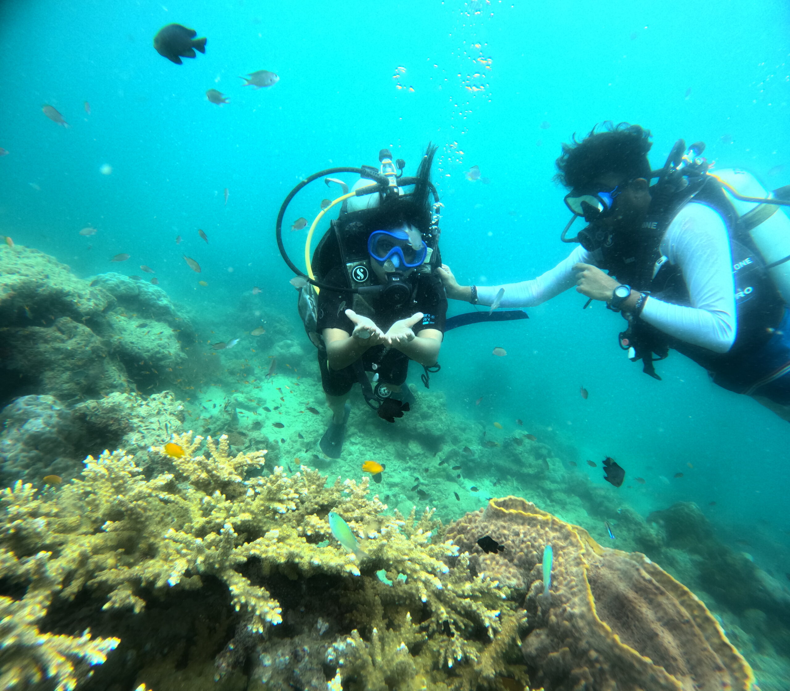 scuba diving in andaman