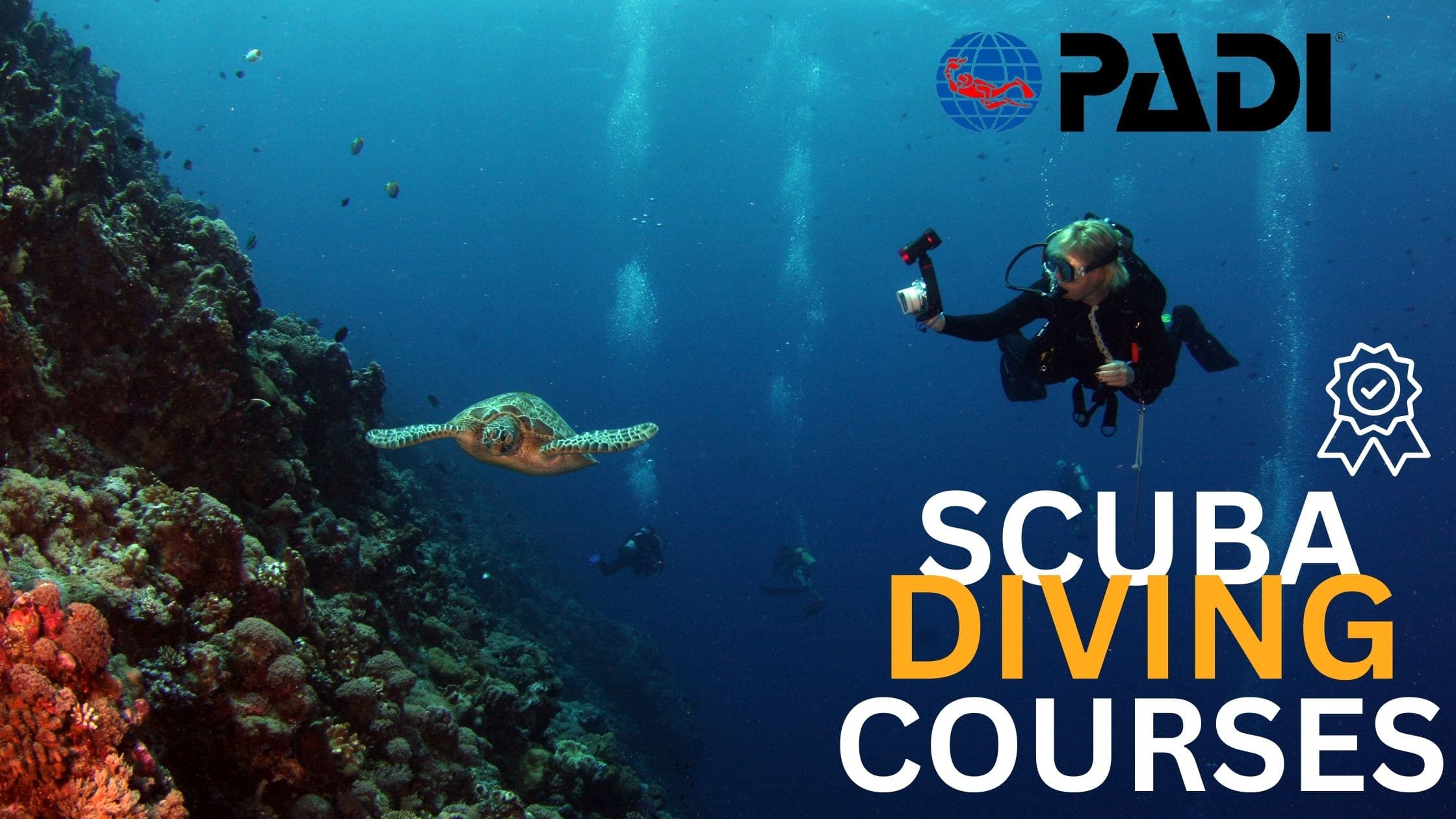 certified scuba diving courses