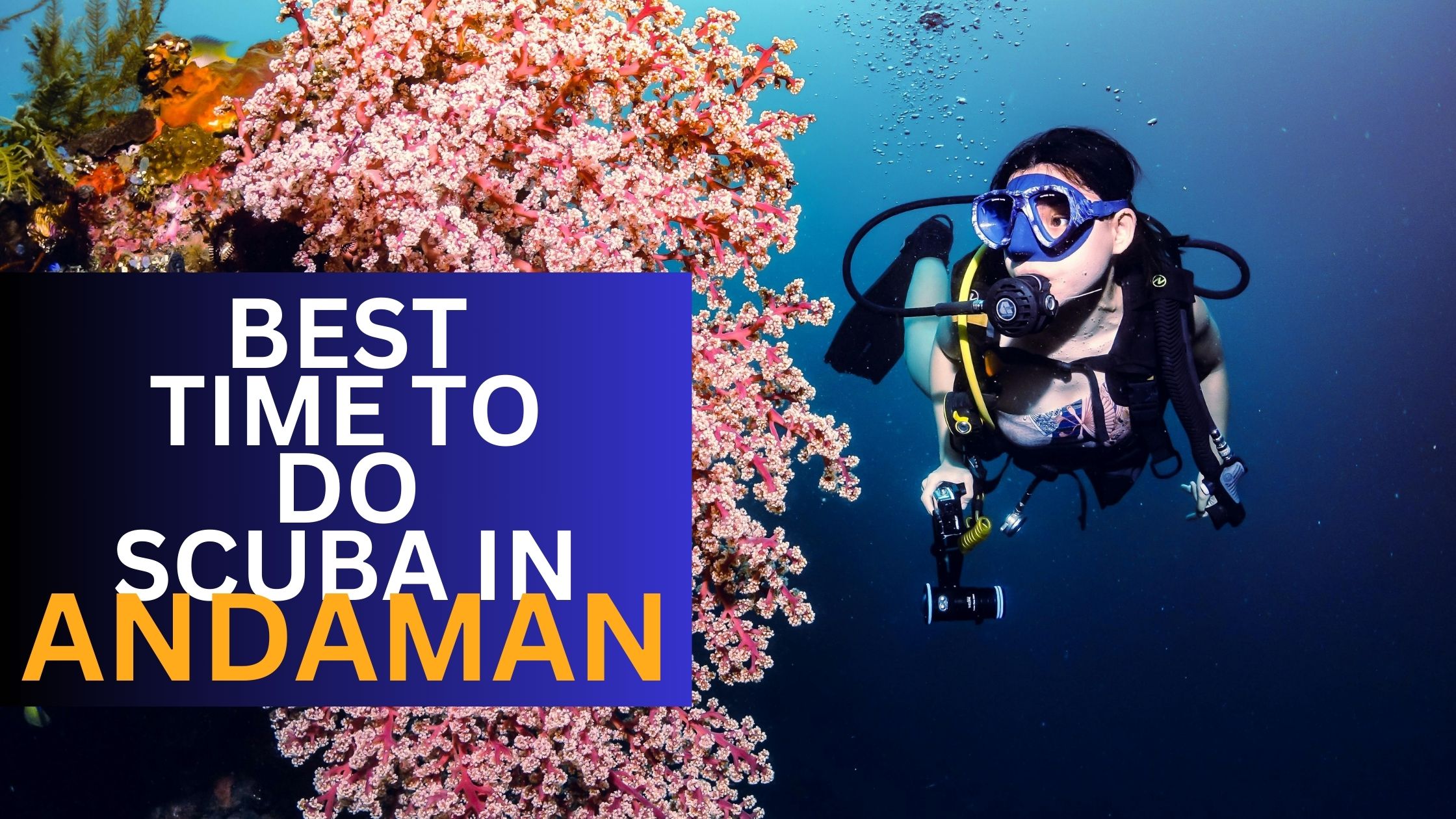 best time to do scuba in andaman